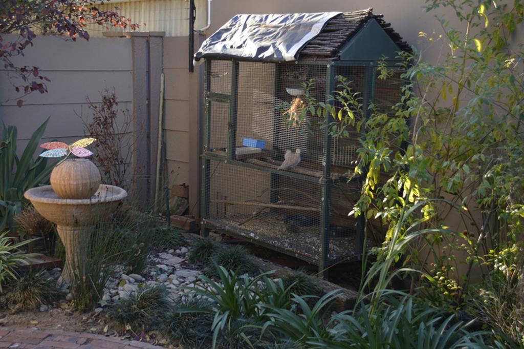 Two Bells Guest House Bloemfontein Bagian luar foto